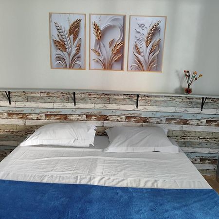 לונדרינה Alpha Hospedaria & Hostel מראה חיצוני תמונה