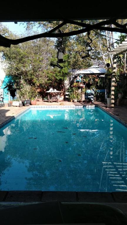 לונדרינה Alpha Hospedaria & Hostel מראה חיצוני תמונה